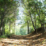 All'interno della nostra struttura Le Oreadi potrai fare delle piacevoli passeggiate immerse nel verde del nostro parco naturalistico